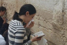 娱乐吃瓜君网红对比,娱乐吃瓜君与网红们的巅峰对决